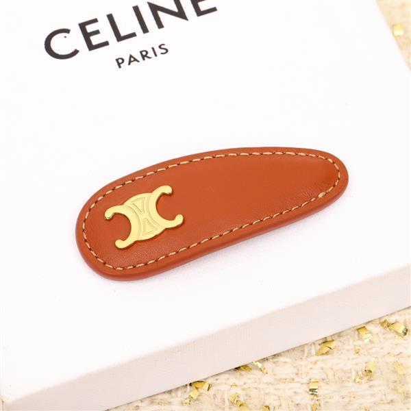 2024210155817698 100